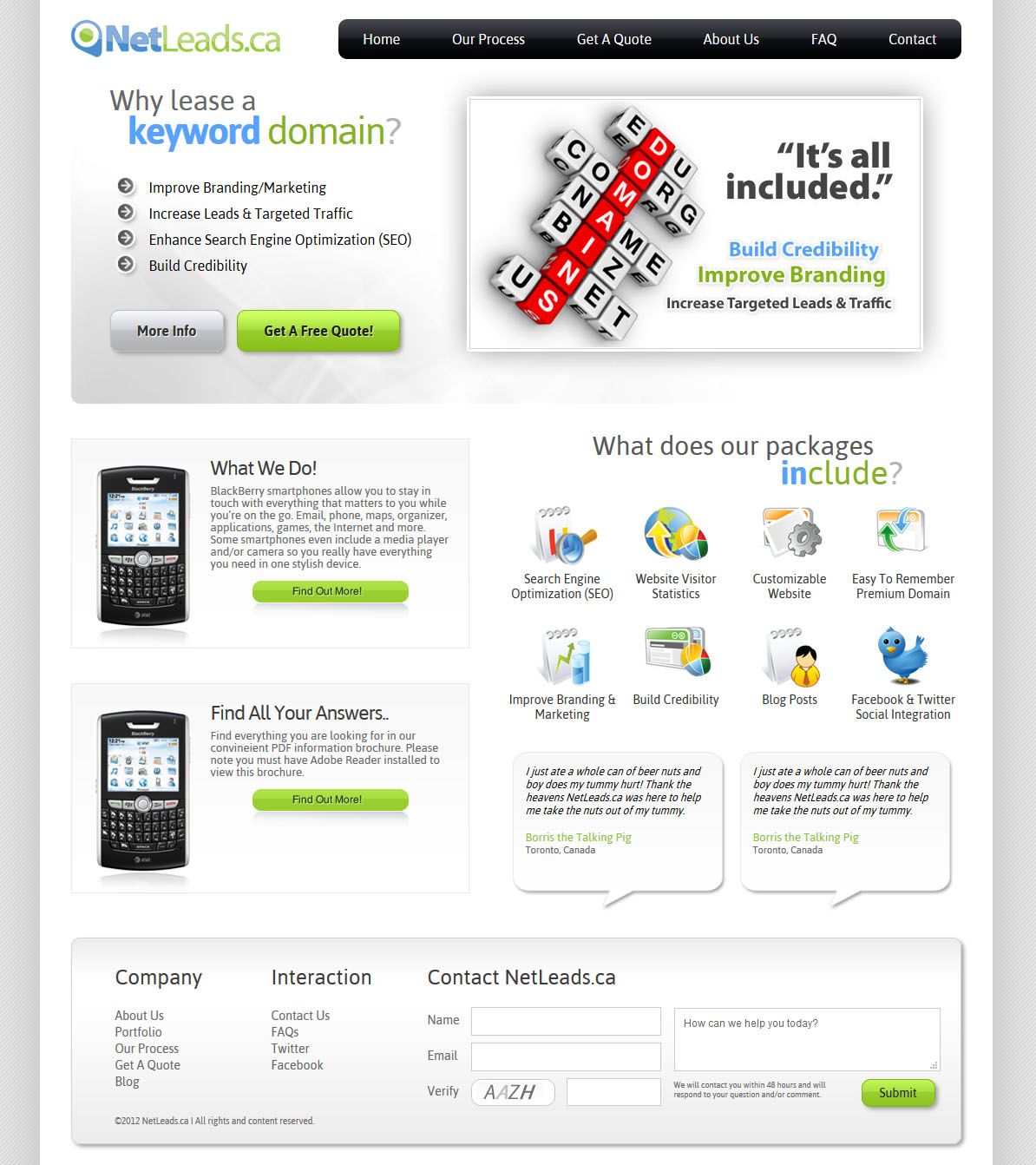 Full-page screenshot of NetLeads Website