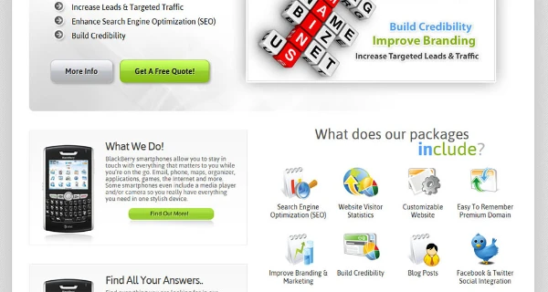 NetLeads Website project preview