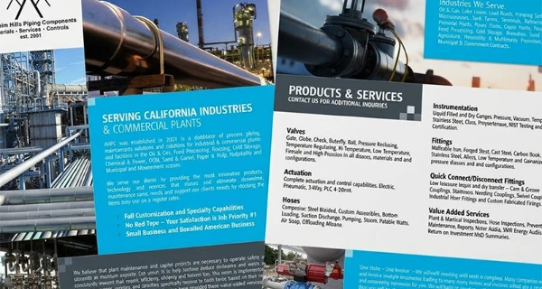 Anaheim Hills Piping Components Flyer project preview