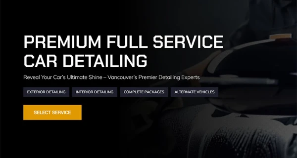 Deluxe Shine Detailing Website project preview