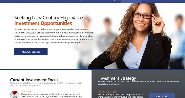 Newport Acquisitions Website project preview