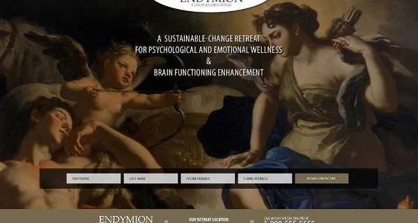 Endymion Wellness Website project preview